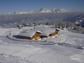 Jandlhütte, Flachau, Österreich